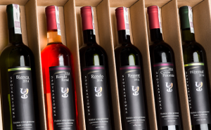 zestawy win polskich