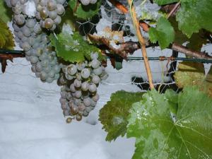 zima w spotkaniówce